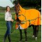 R219 Seacroft combo 200g Turnout Rug